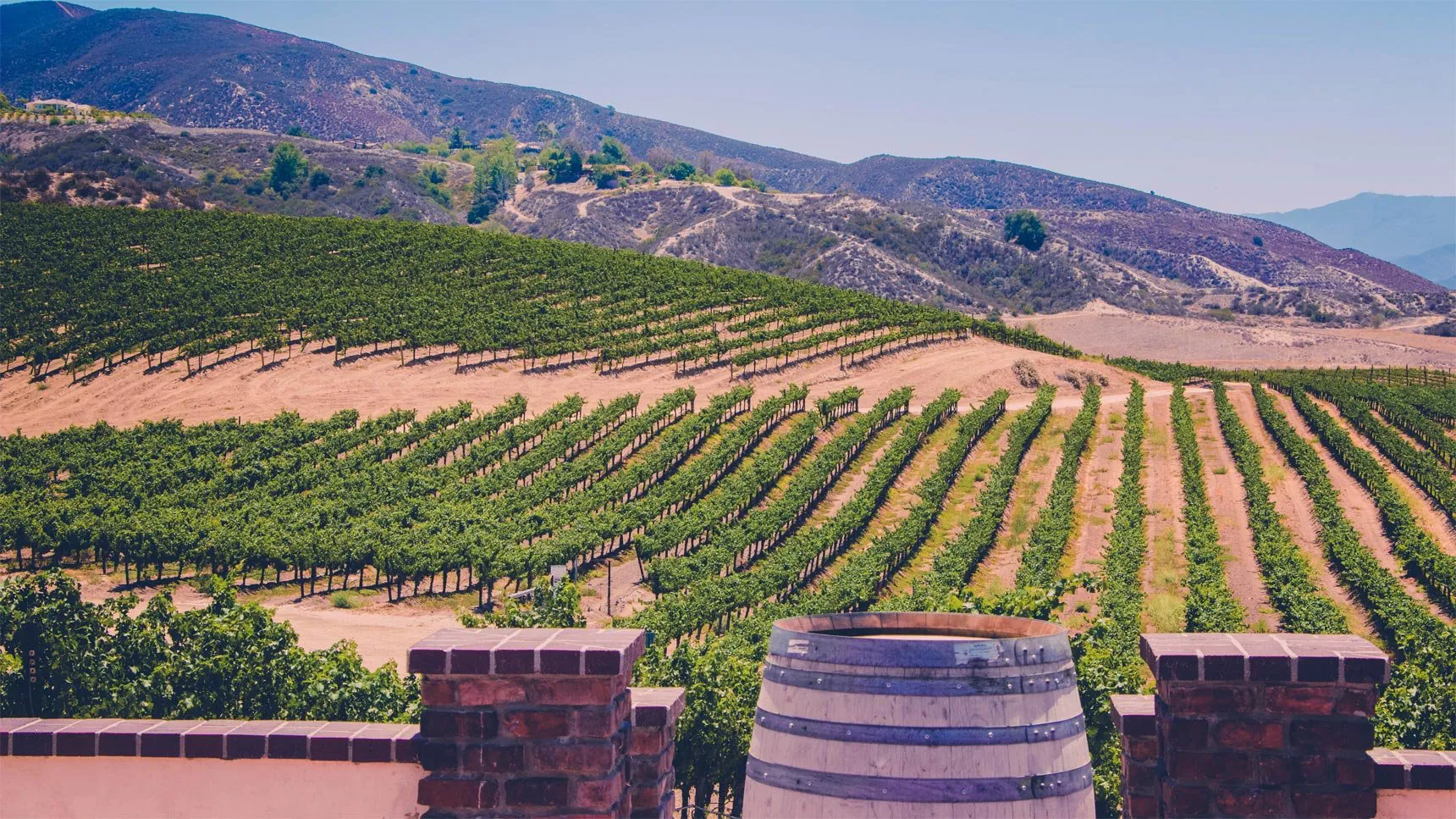 northern and southern california wineries