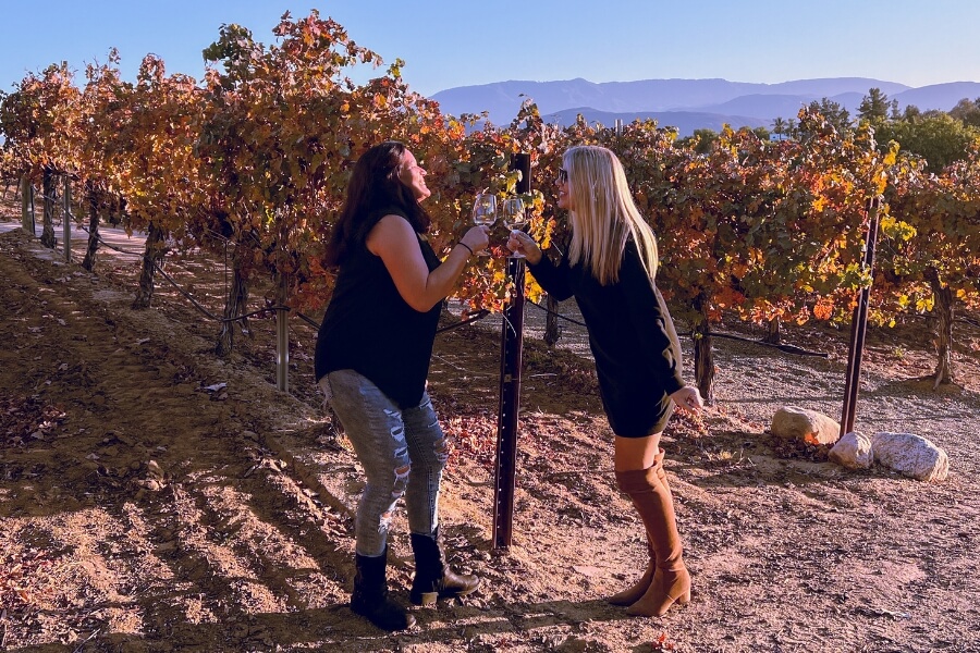 Guests enjoy a Grapeline Wine tour in Napa Valley