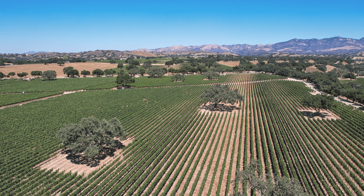 The Best Private Santa Barbara Wine Tours