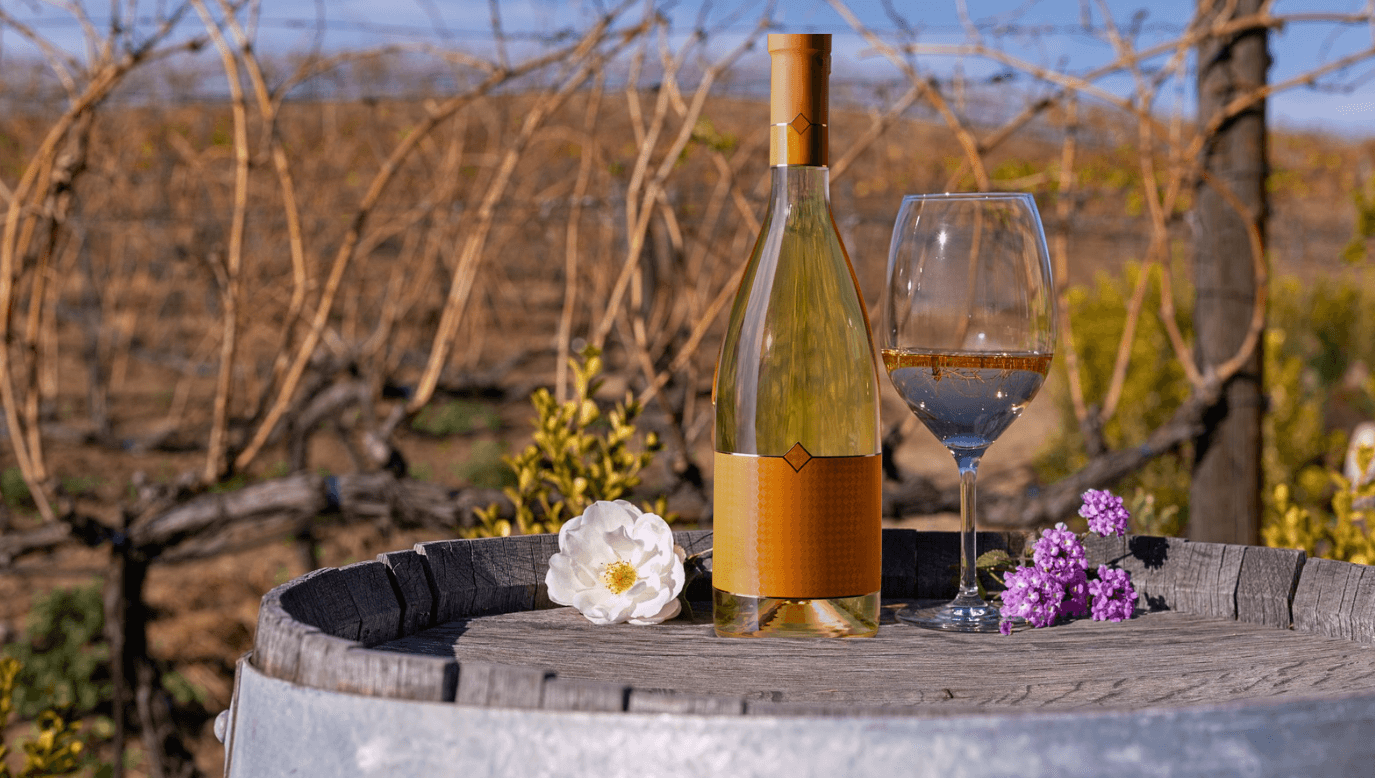 SN Private - Private Wine Tasting Setup with Glasses and Bottles