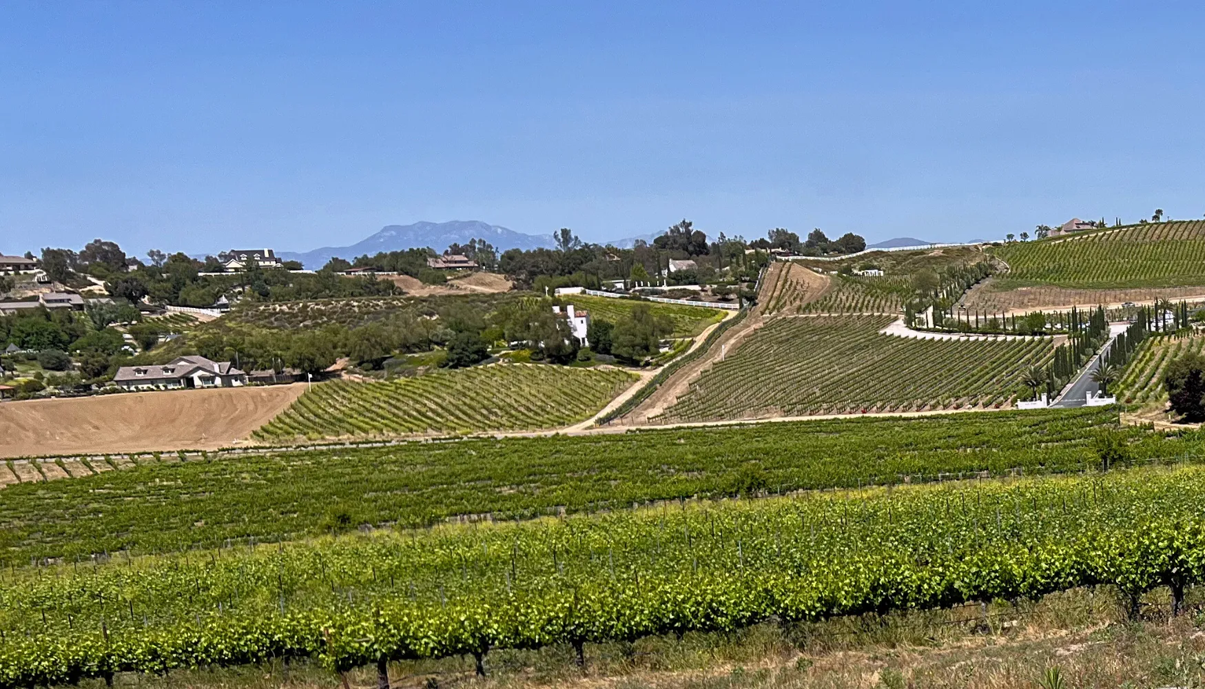 Image of a Temecula winery