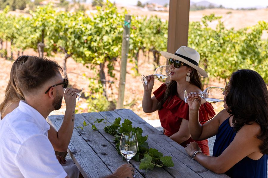 Guests enjoy a Grapeline Wine tour in Temecula