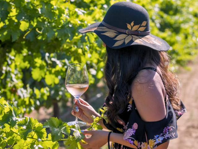 Kay Syrah, the Wine Country Guru Gal, is holding a glass of wine in the vineyards of Temecula Valley, getting ready for Bubbles, Brunch, and Bourbon