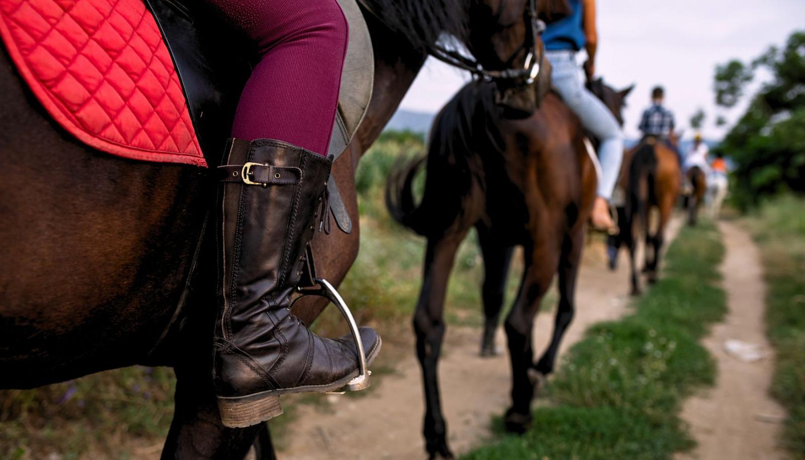 People horseback riding