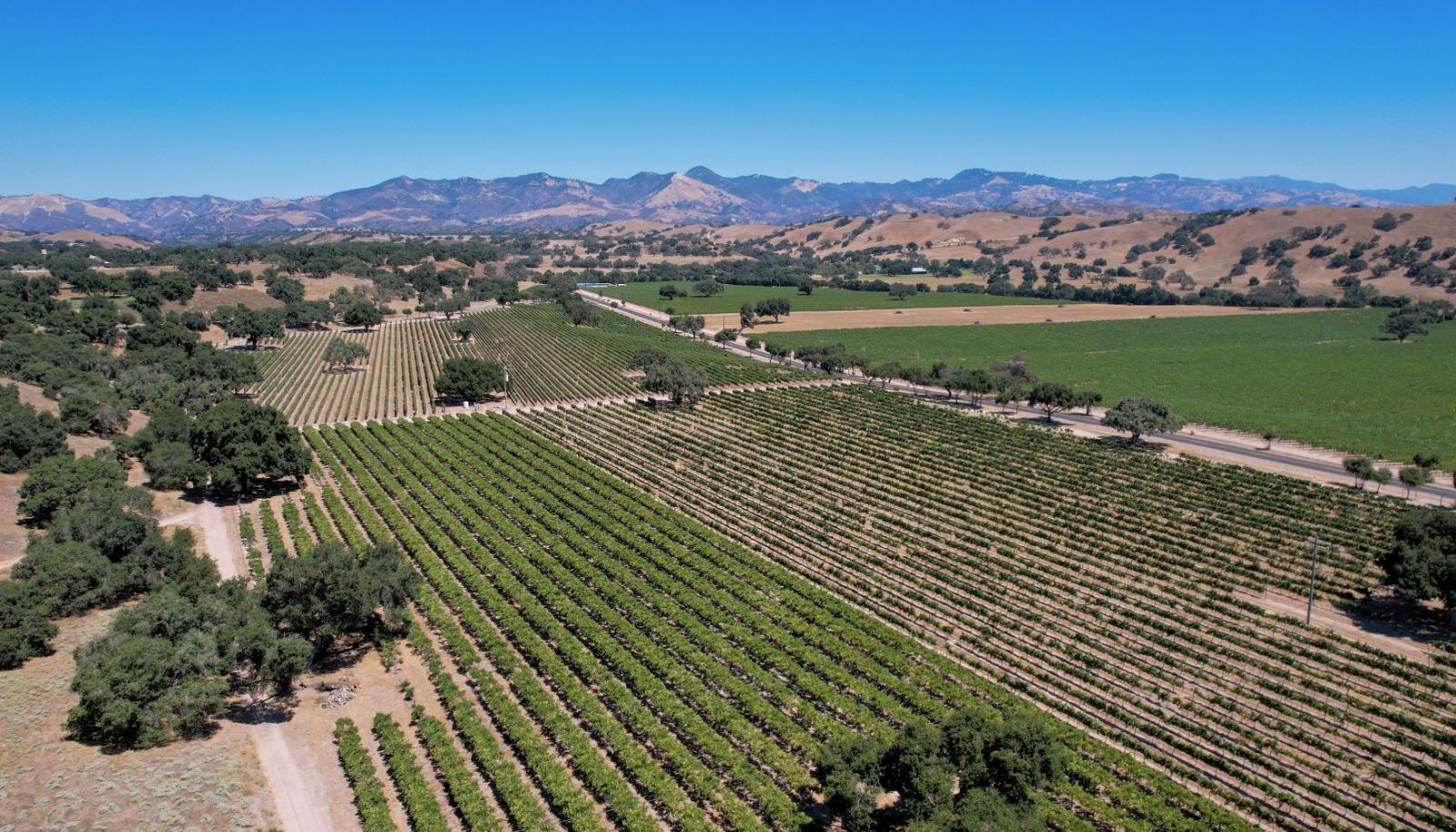 Scenic view of Santa Barbara wine country