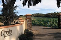 Opolo Vineyards in Paso Robles