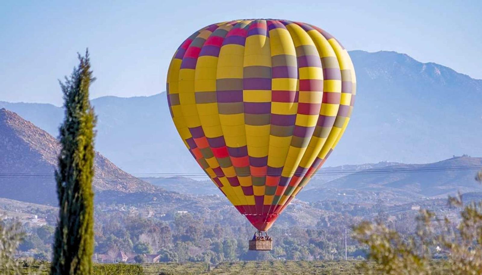 A Grape Escape Balloon Adventure over the vineyards