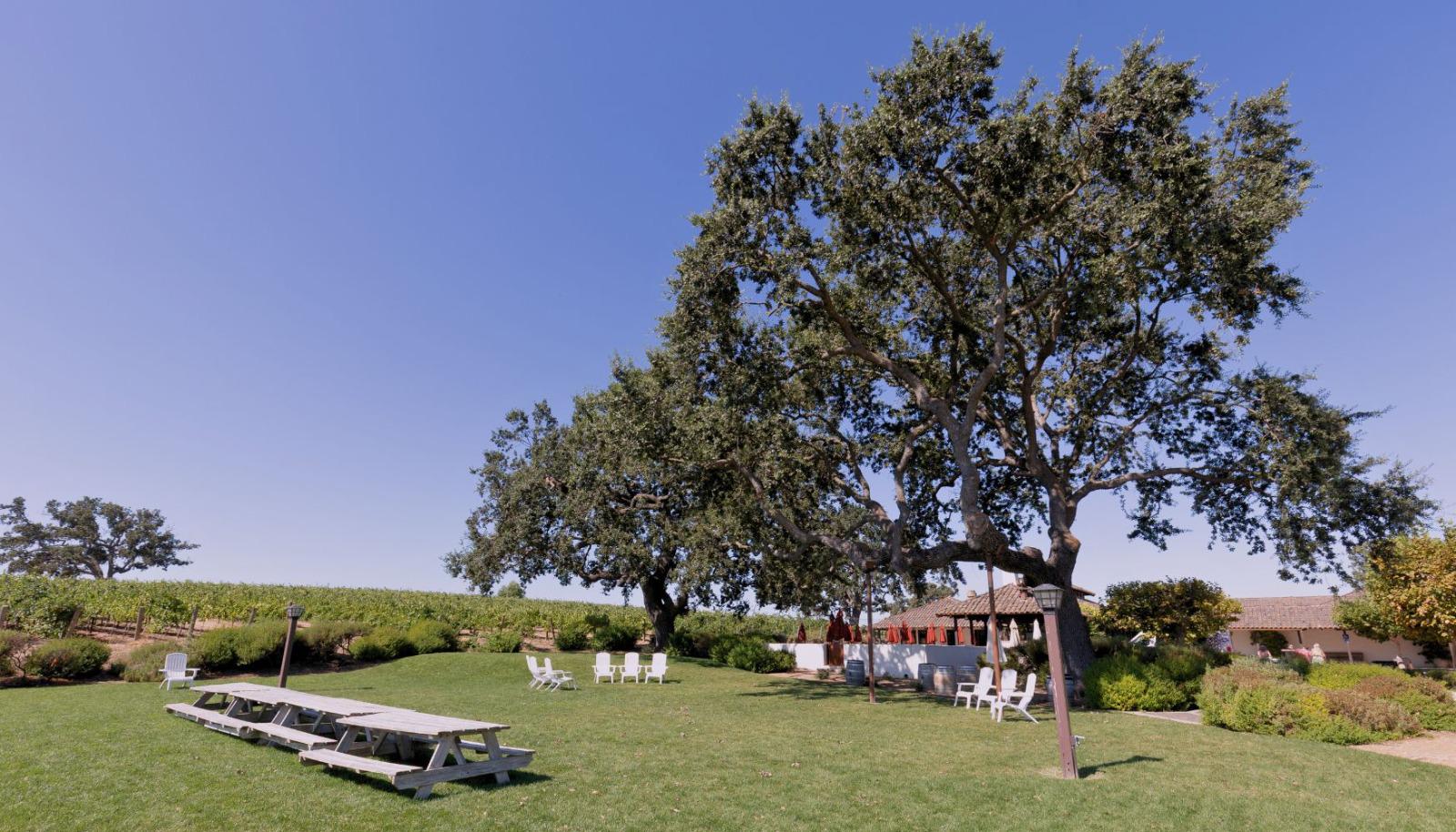 Gainey Estate Vineyards