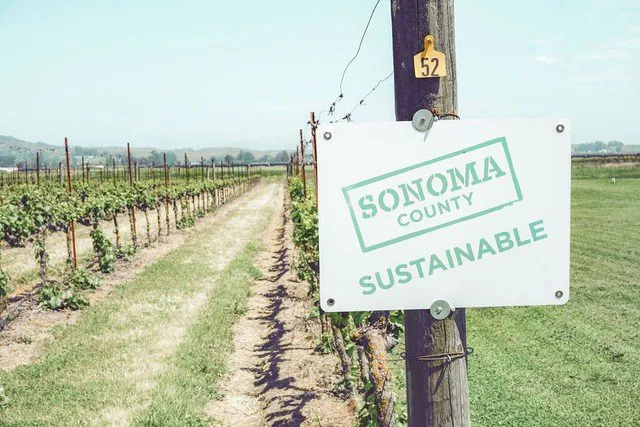 Newly planted vineyards with sign Sonoma County Sustainable