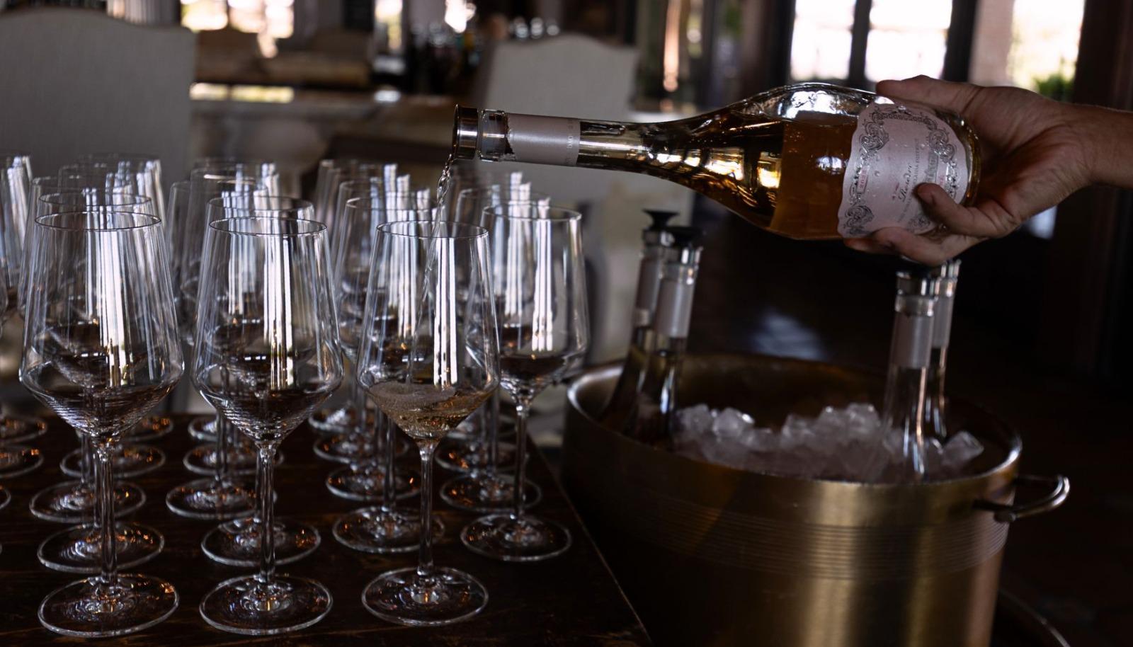 Wine tasting setup with glasses and bottles