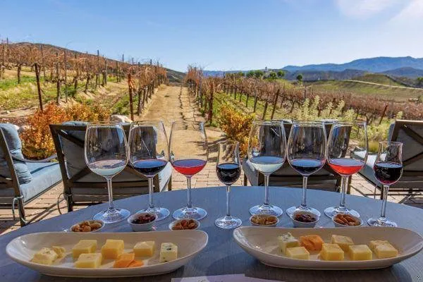 Wine and cheese pairing.