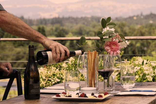 Enchanting Elixir: Unveiling the Allure of Sonoma Valley Wine Tours