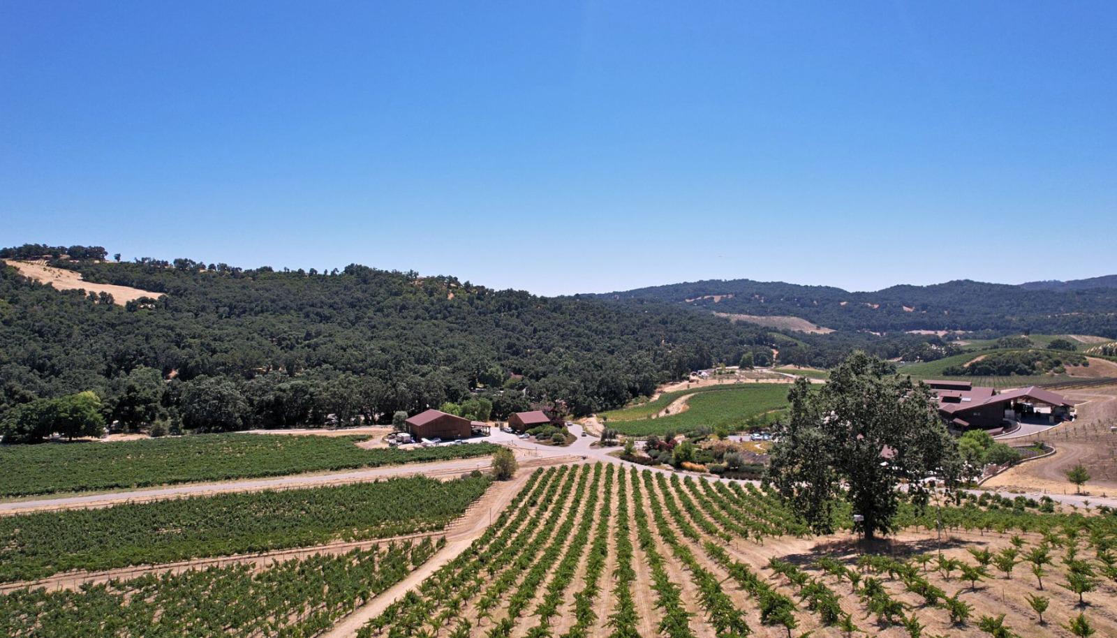 Paso Robles winery