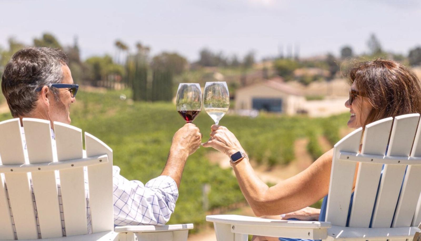 Couple toasting with wine glasses