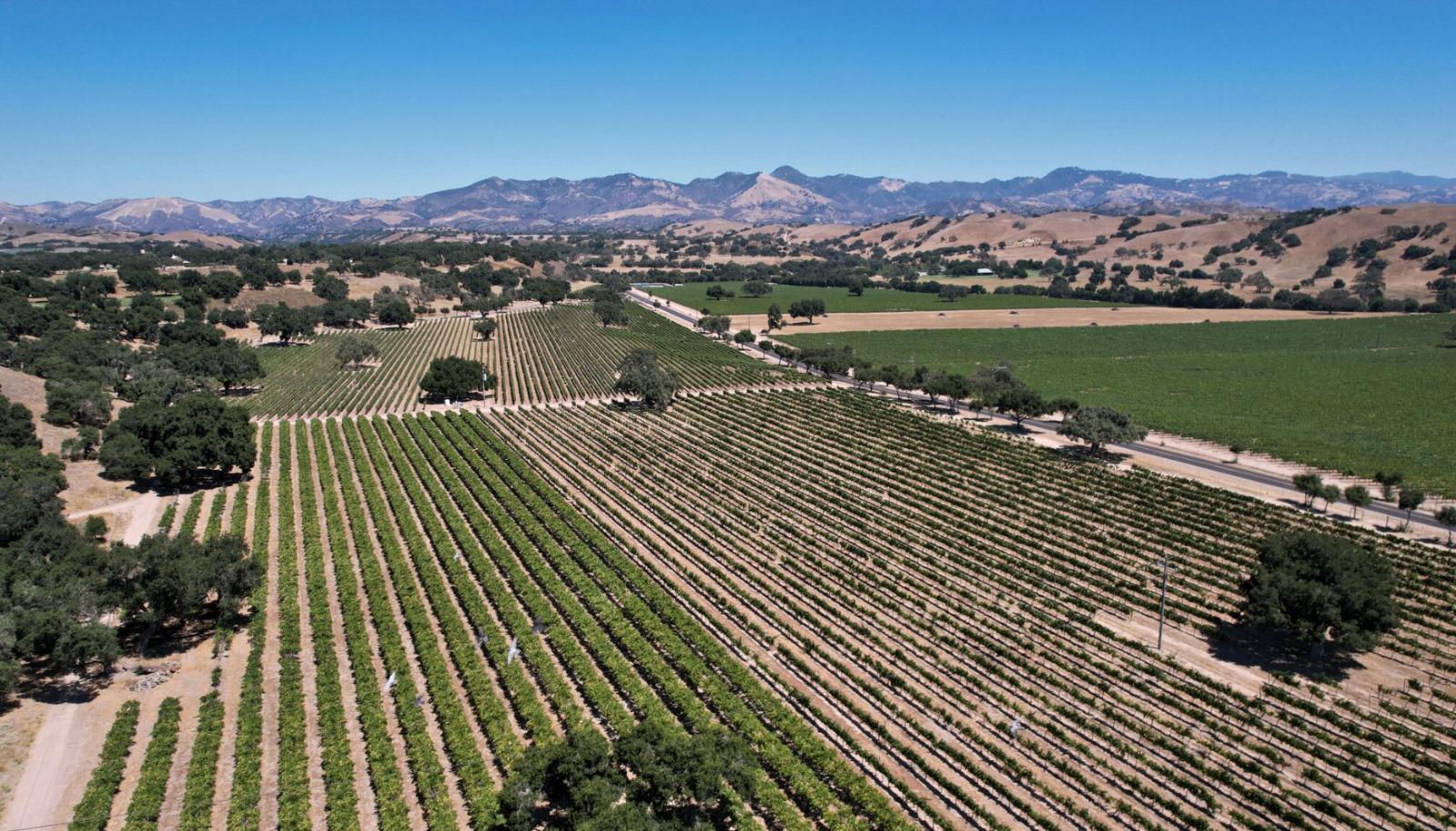 Sonoma vista