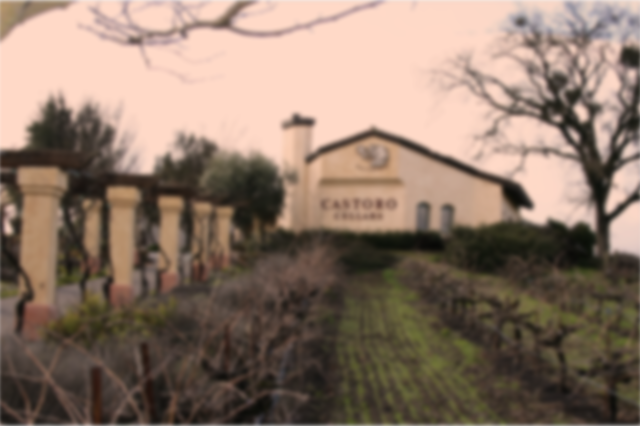 On the Hill, Pictured is Castoro Cellars in Paso Robles