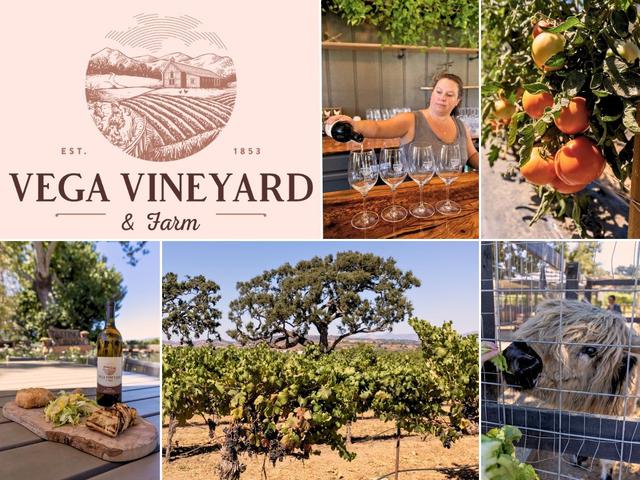 Vega Vineyard & Farm Picture Collage