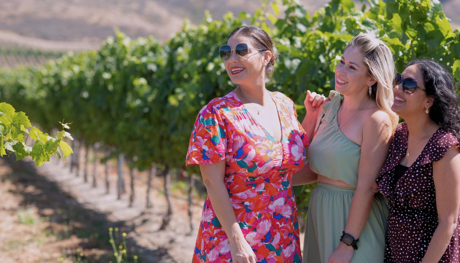 People Walking Through a Vineyard