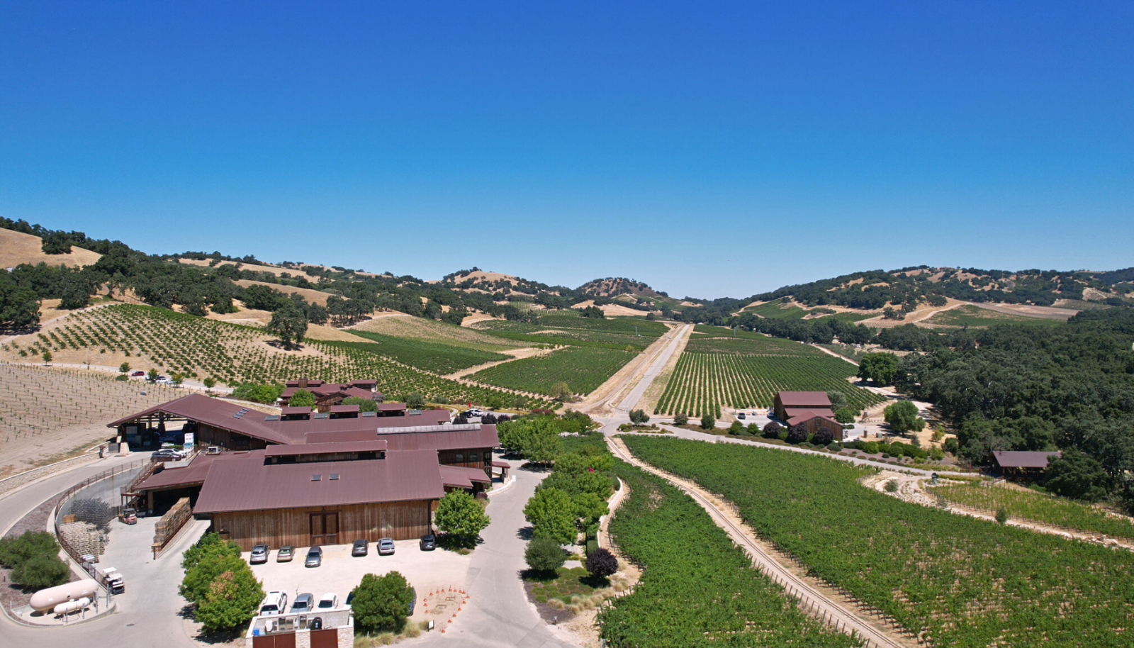 Paso Robles vineyard, Halter Ranch.