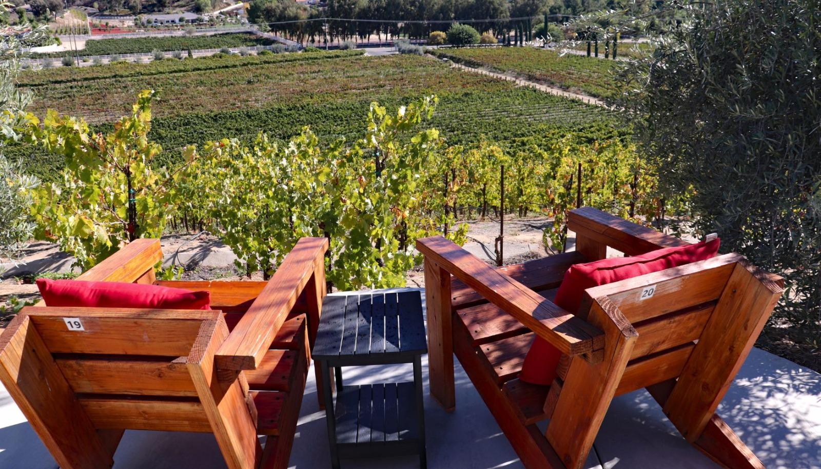 Temecula winery views