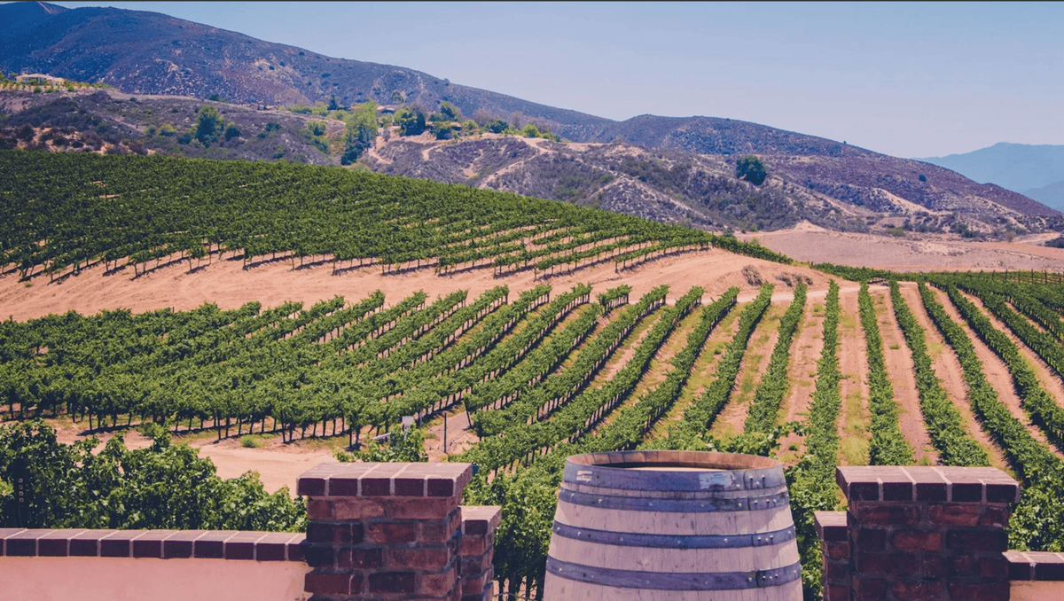 northern and southern california wineries