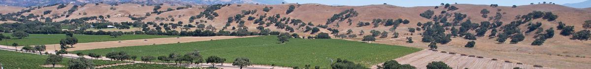 northern and southern california wineries