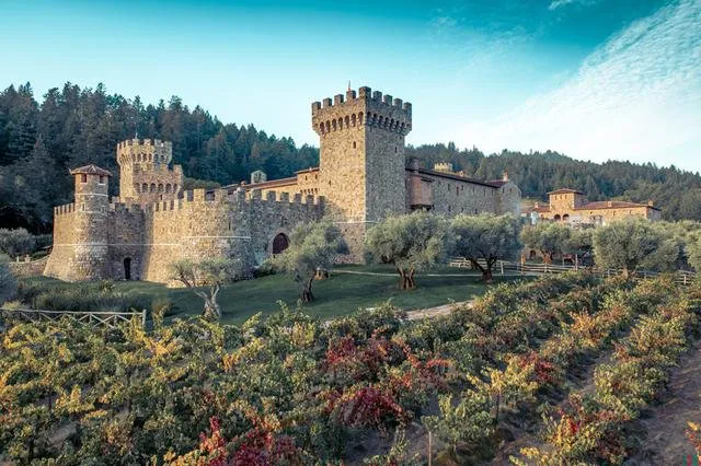 Stunning view of vineyards and El Castello di Amorosa