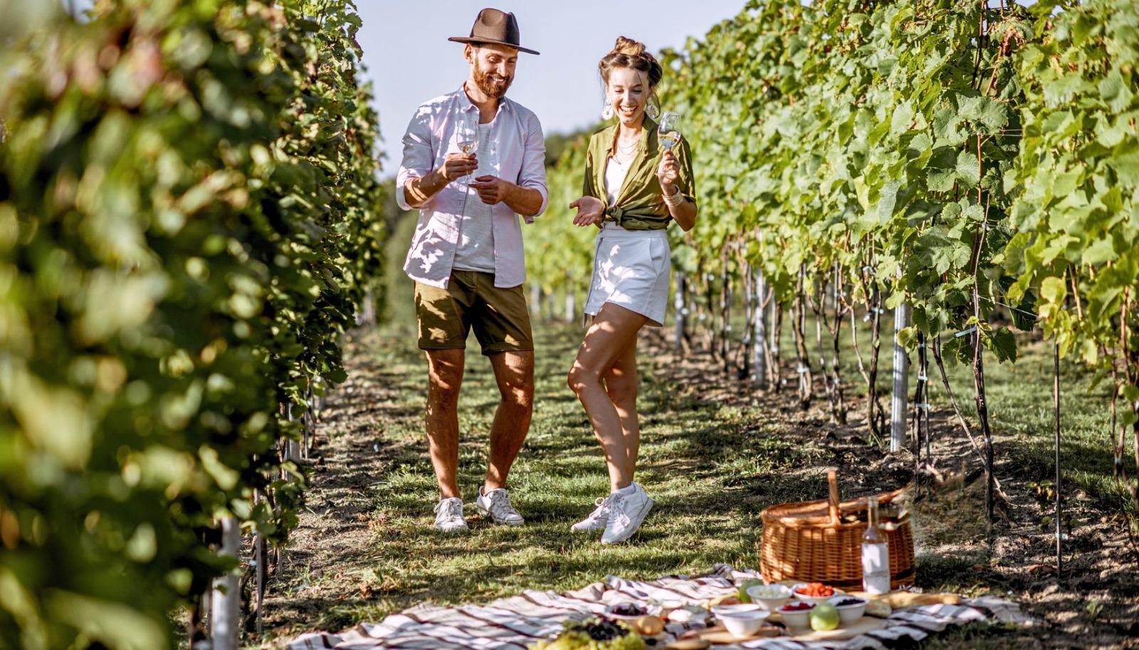 A couple enjoying a picnic getaway at a vineyard.