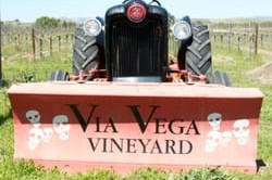 Via Vega Vineyard & Winery in Paso Robles