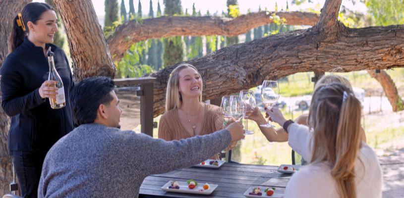 Sonoma Info, Events, and Activities