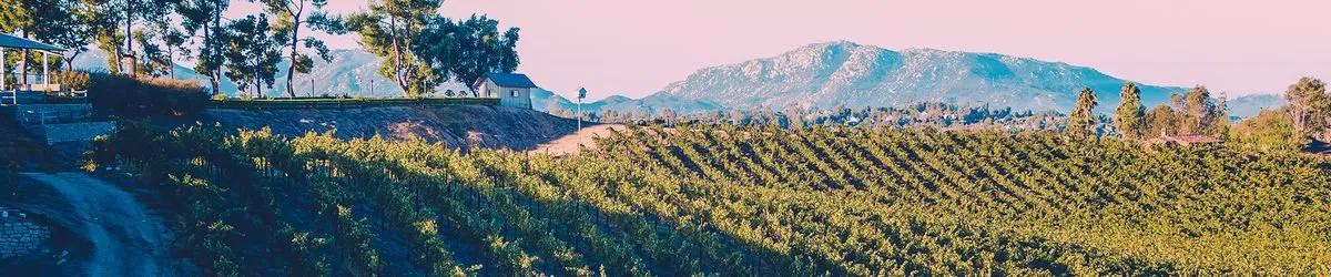 northern and southern california wineries