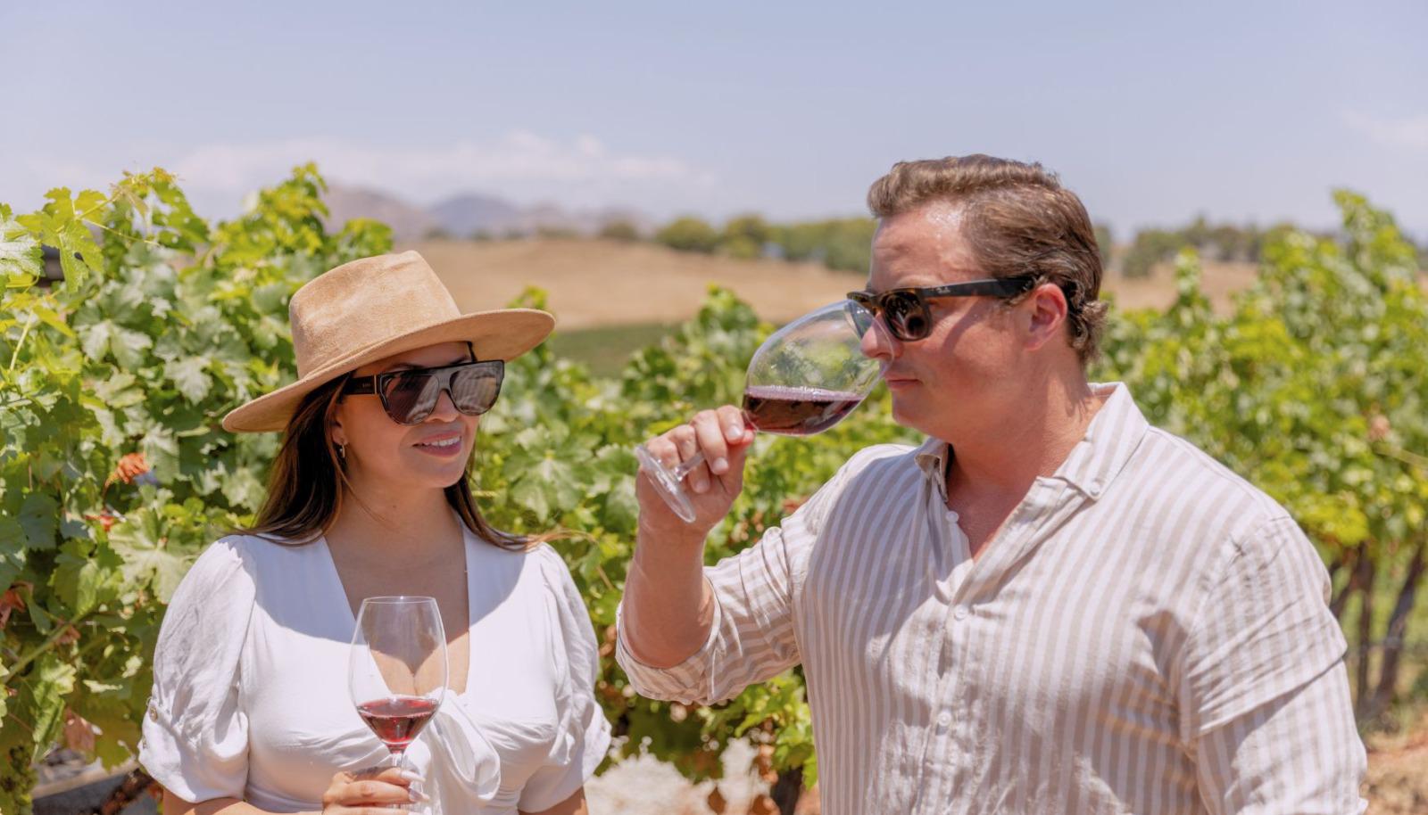 Romantic couple enjoying a wine tasting at a vineyard.