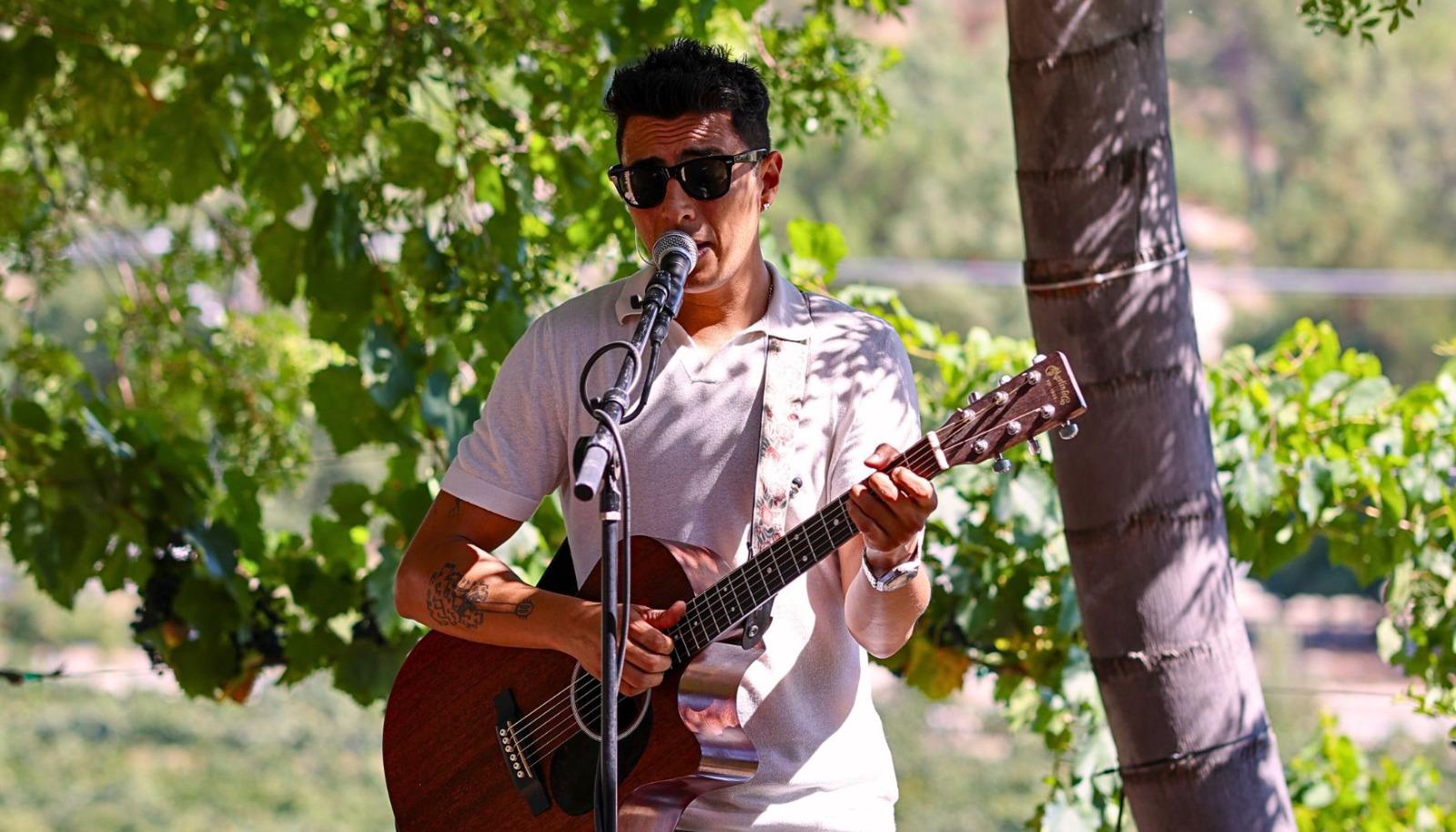 Festival scene with a musician in wine country with food and wine