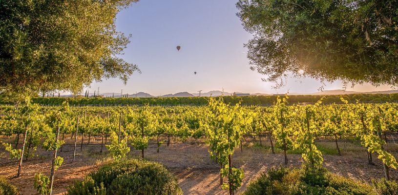 Temecula Wineries