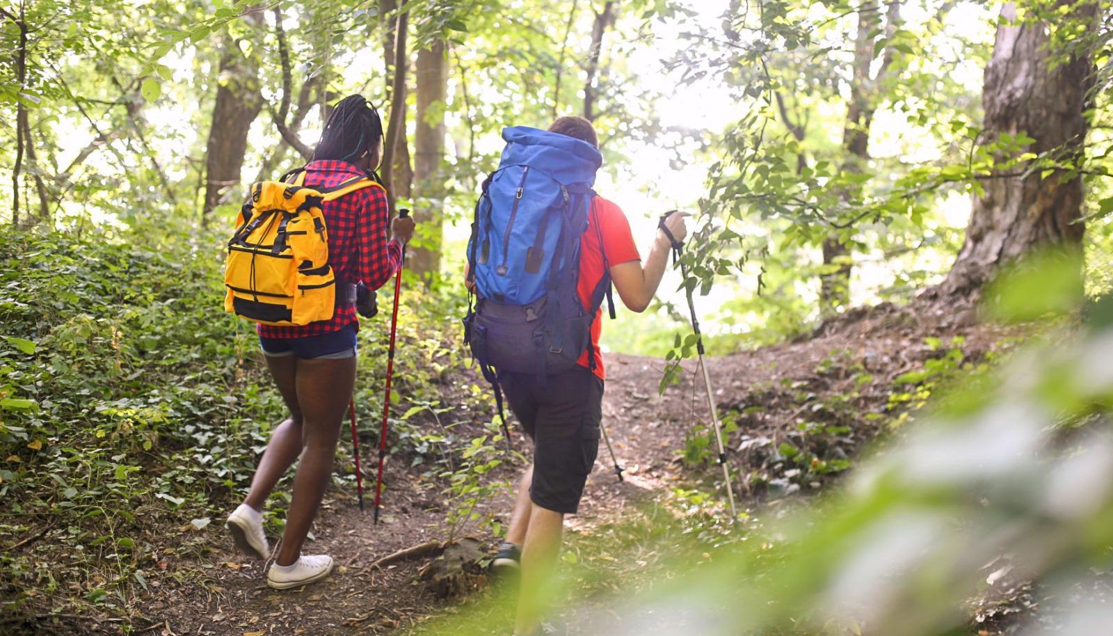 Group on a hike