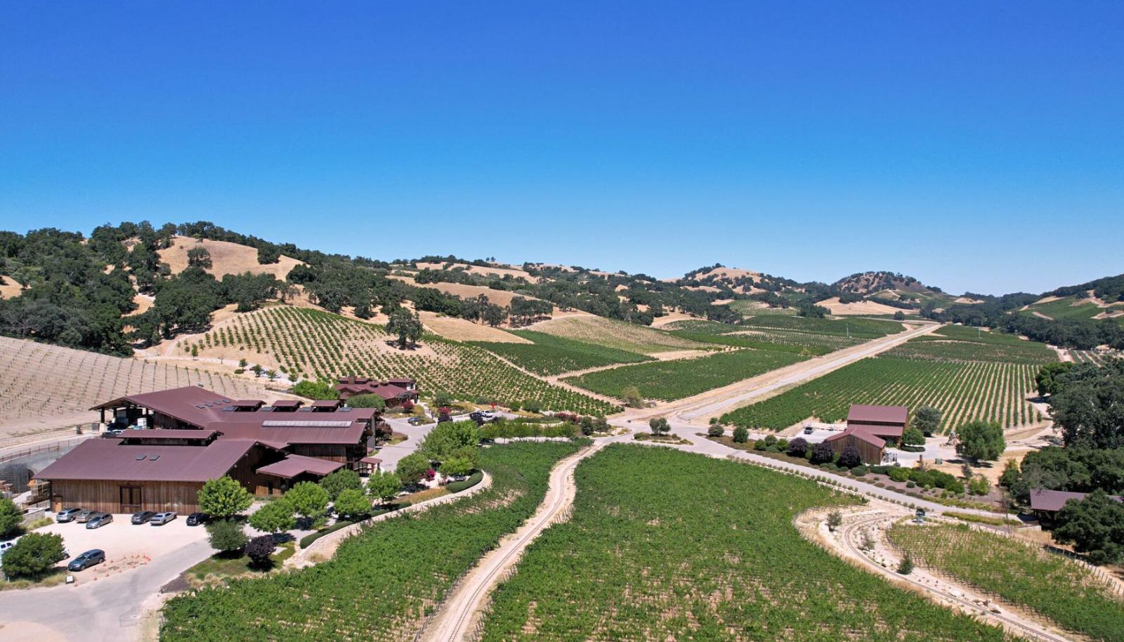 Vineyard in Paso Robles