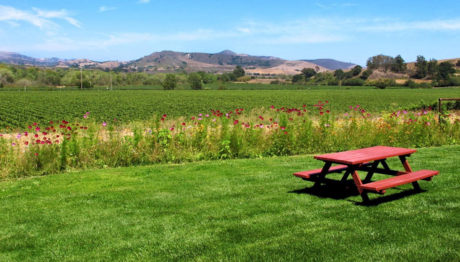 LaFond Winery & Vineyards