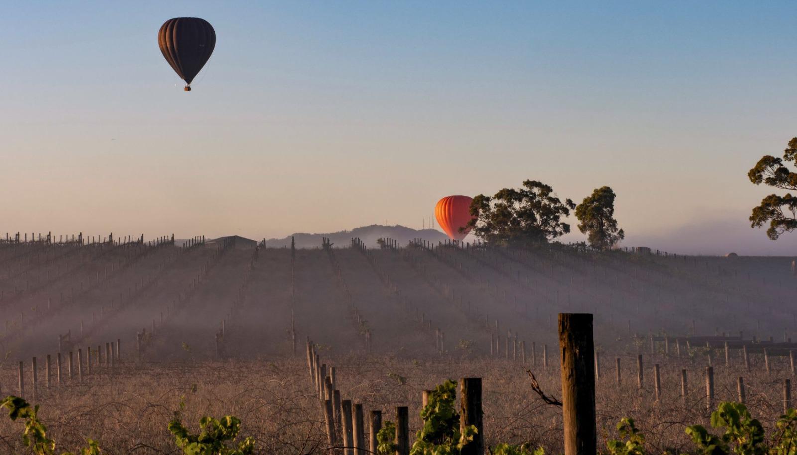 Hot air balloon in Napa