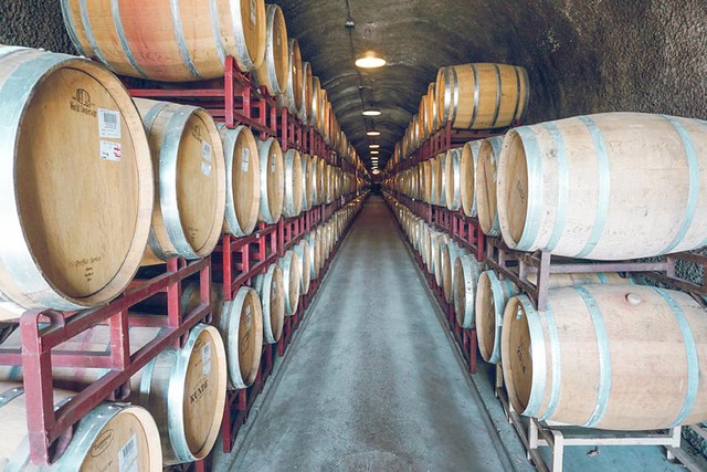 Over one hundred wine barrels lining a rustic wine cave in Sonoma