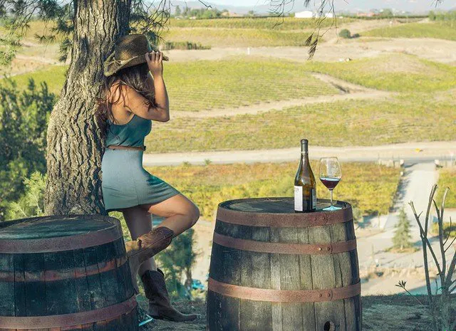 Woman on a hill looking at rolling hills of vineyards in Temecula, CA