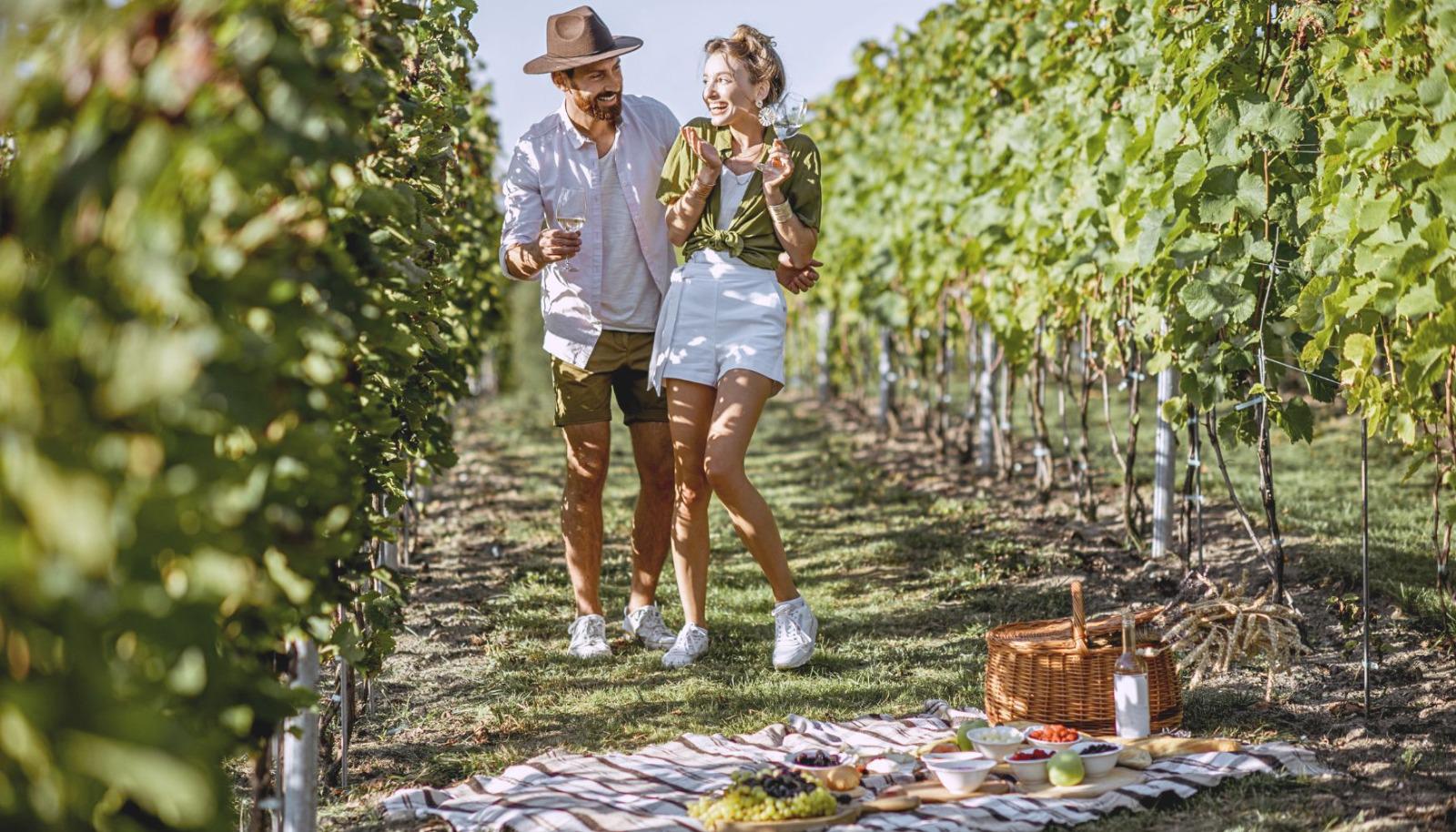 A romantic picnic getaway at a winery