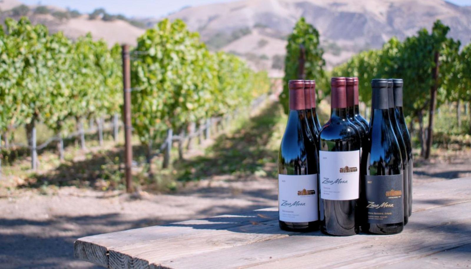 Zaca Mesa Winery