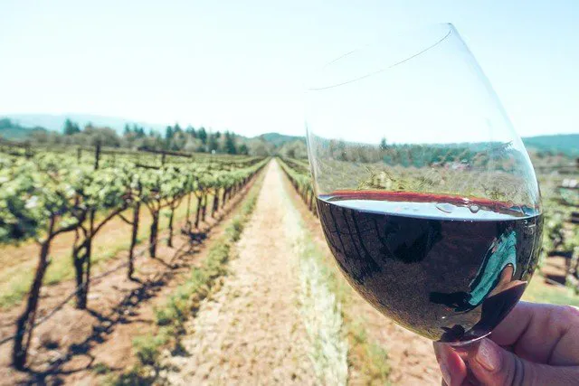 She's holding out a glass of red wine in Sonoma Wine Country