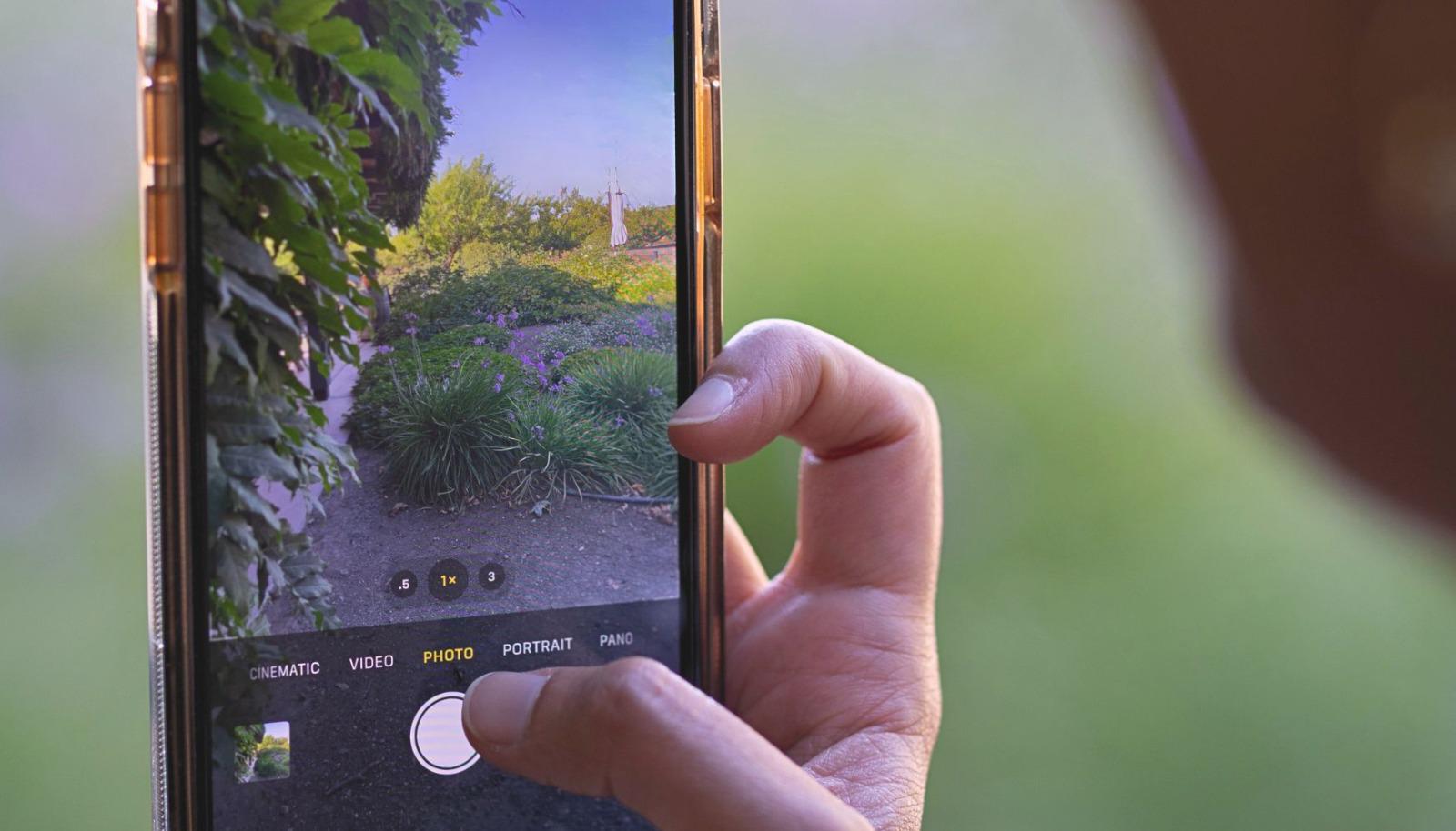 A person taking a photo of a vineyard