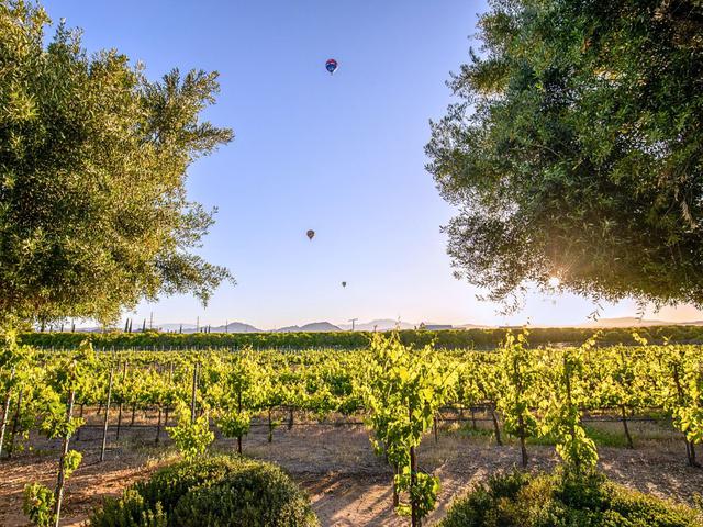 A large sign in Temecula Wine Country - Celebrate 50 years