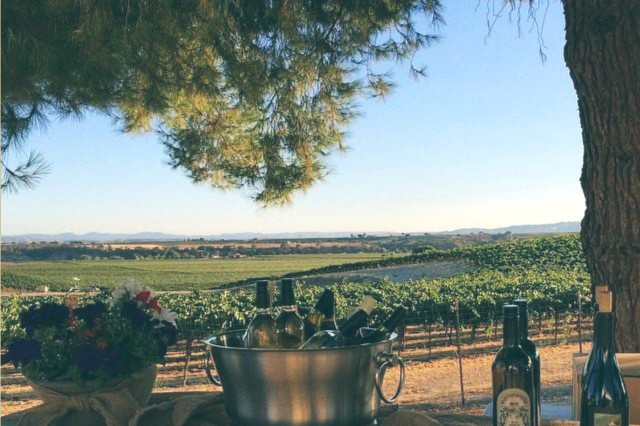Graveyard Vineyards & Winery in Paso Robles