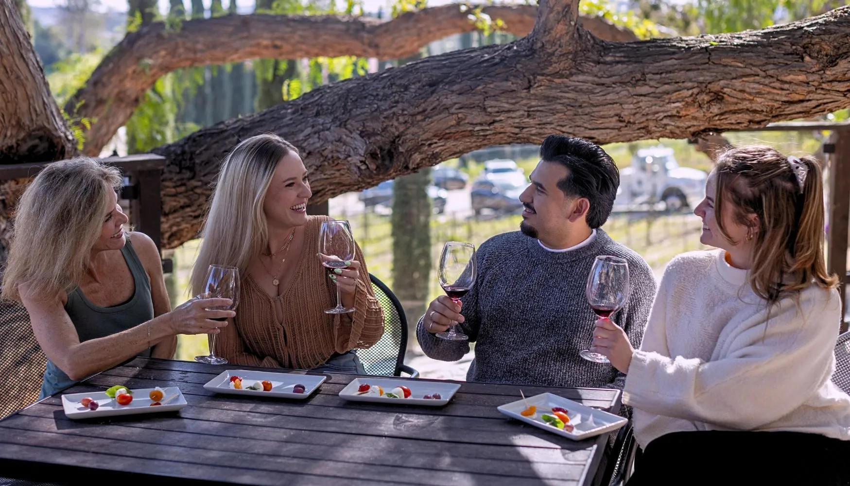 A group enjoying a private wine tour.