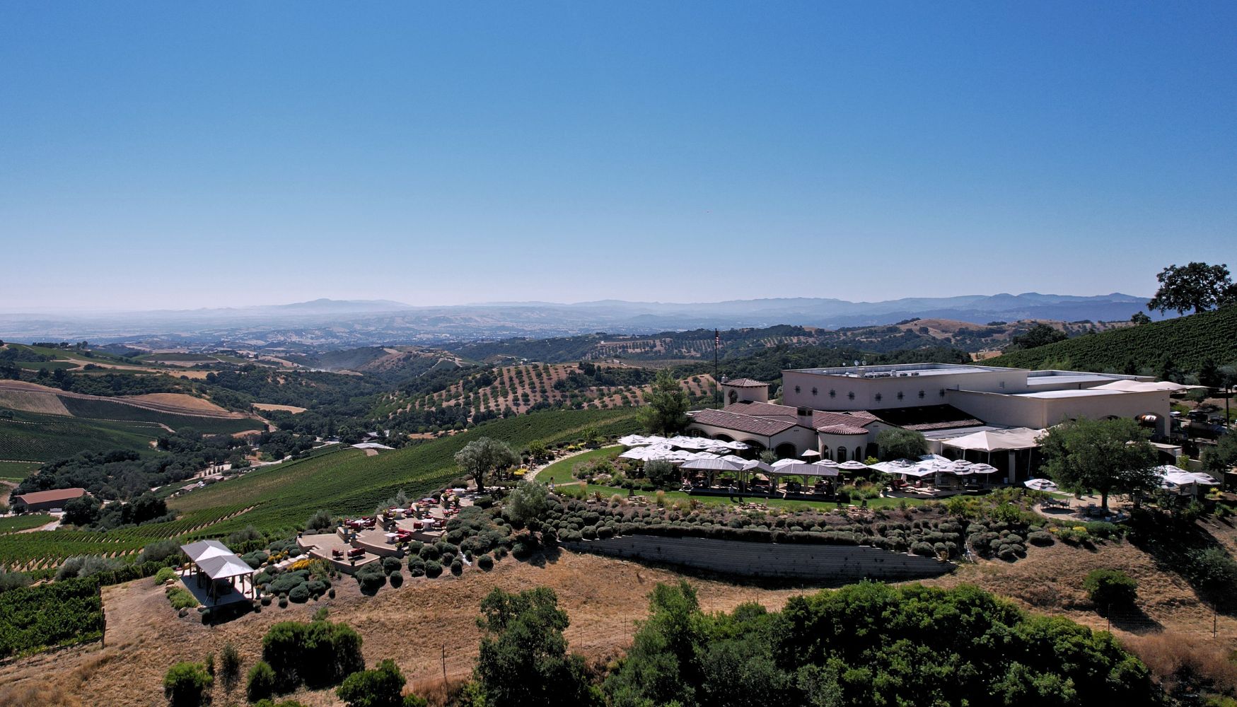 A scenic vineyard in Paso Robles.