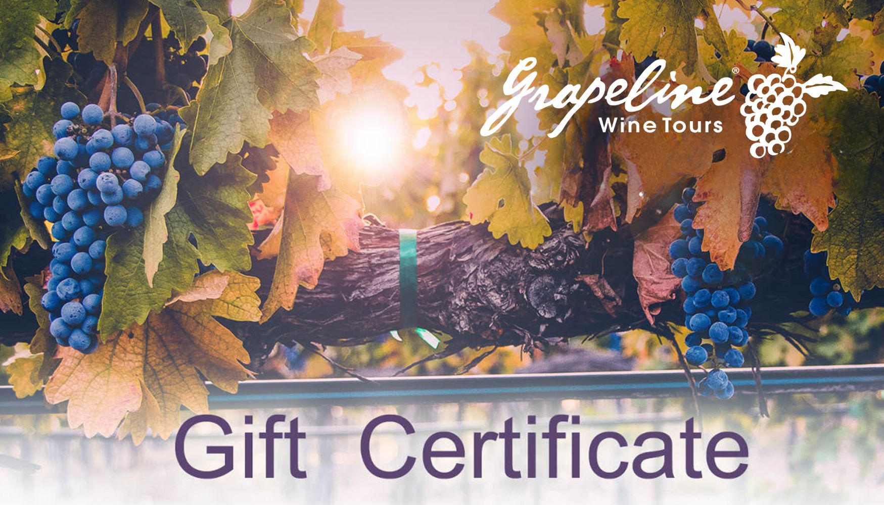 Wine Tour Package Gift Certificates