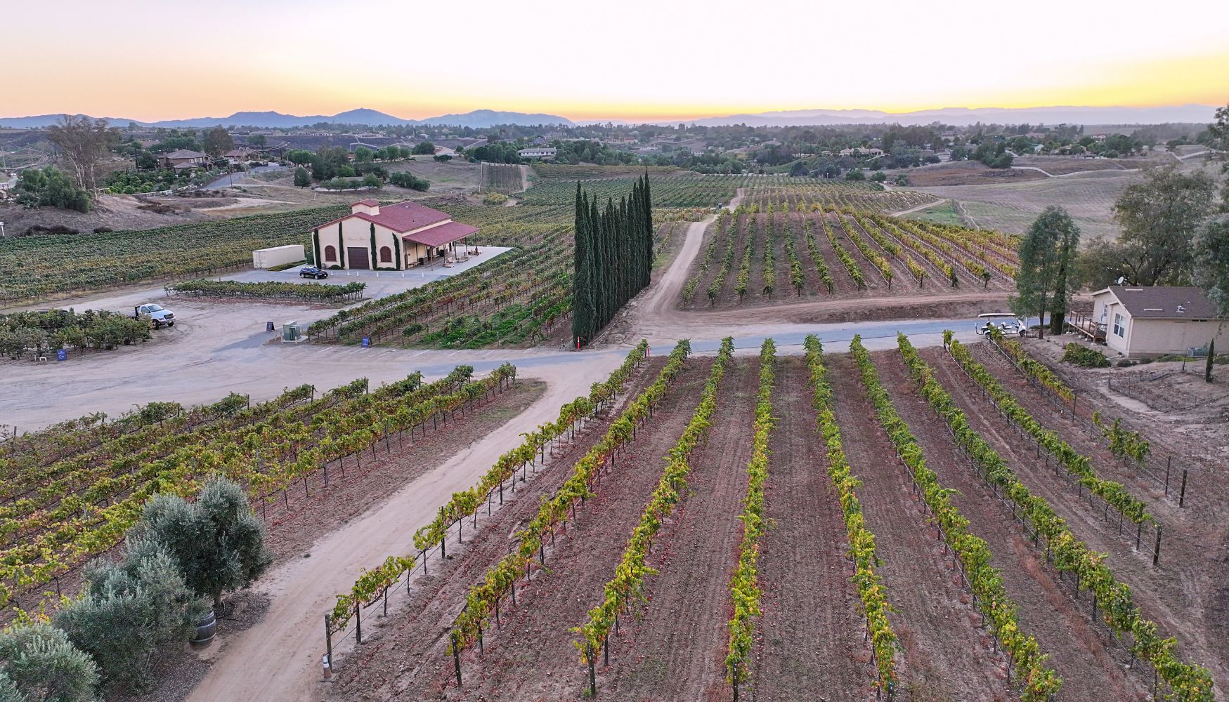 Scenic vineyard in Temecula